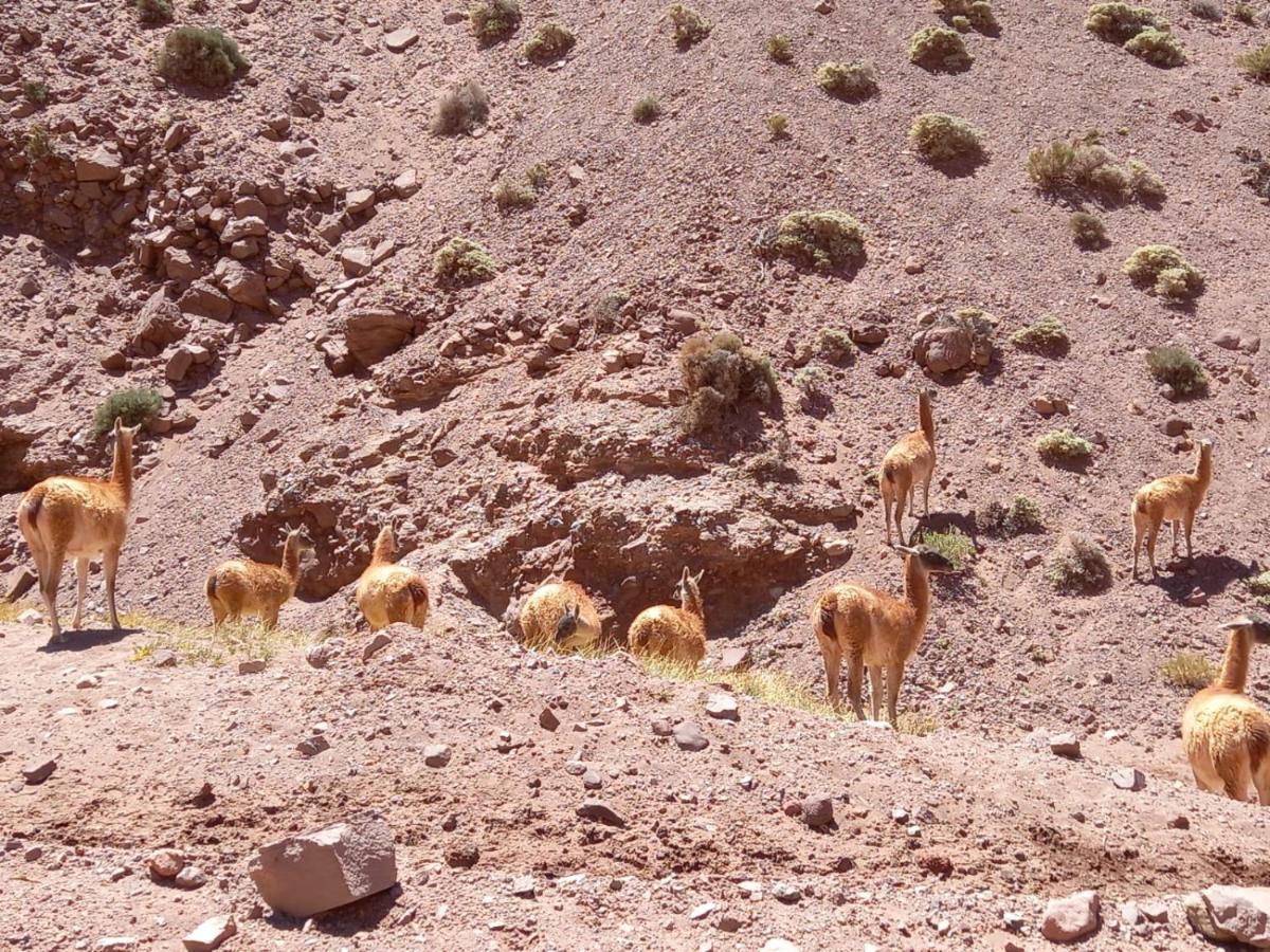 Pillanhuasi Alquiler Por Dia Villa บียาอูนิออน ภายนอก รูปภาพ